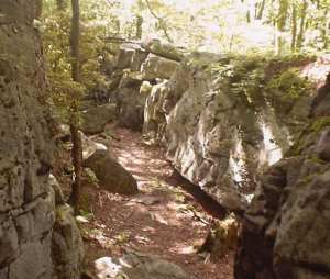 Photo: Laurel Highlands Trail (by Steve Pero)