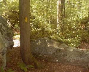 Photo: Laurel Highlands Trail (by Steve Pero)