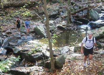 On the Trail