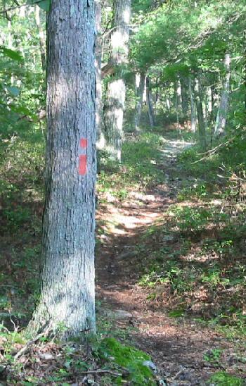 The Massanutten Trail at Powells Fort Camp