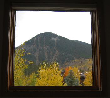 The view out Kerry's Windos