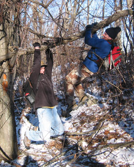 Skilled Work Practices in the Woods