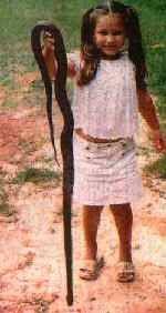 Cute little girl with very dead snake
