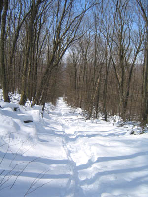 Buzzards Marathon Trail