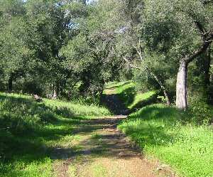 The Shire