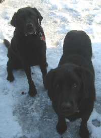 Major and Moseby