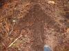 C4P Trail Markings