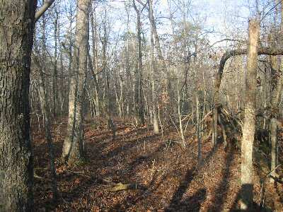 Prince William Park