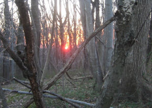 Sunrise at the Park