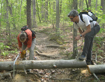 Trail Work in Duncan Hollow