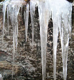Ice on Kerns Mt Trail
