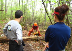 Ed Brimberg works on the trail