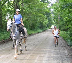 Picture of runner and horse rider