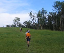 Runners in Field