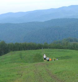 Runners in field