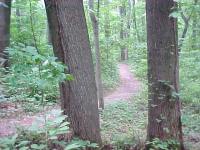 Bull Run Trail