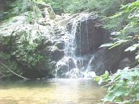 Patapsco State Park