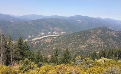 Pine to Palm trail view